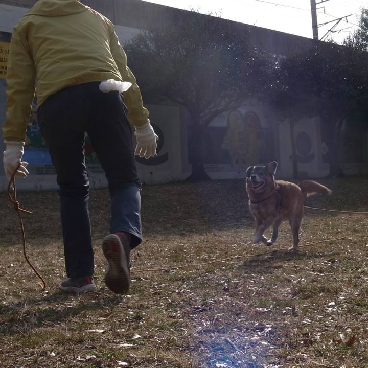 Ff4bab80 4a3e 469c b4d8 3c7dc0e9a9d6 1599091427325