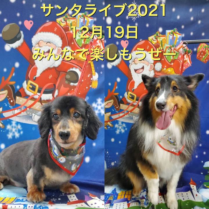 Ff4bb589 75e8 45e4 91f5 0991fe212f76 1639218363687