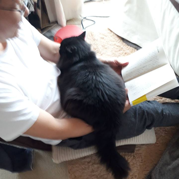 Ff4bc894 3892 493d aedd 9b1a78cd0768 1523669406436