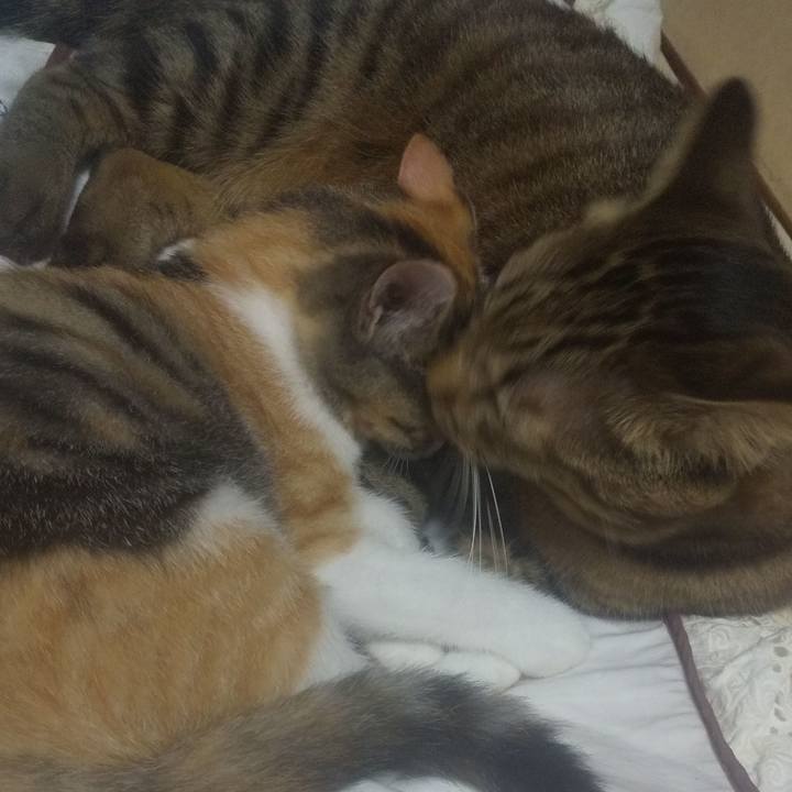 Ff4bf6a6 0c86 44f3 ba82 fdf30ff278a1 1725187587170