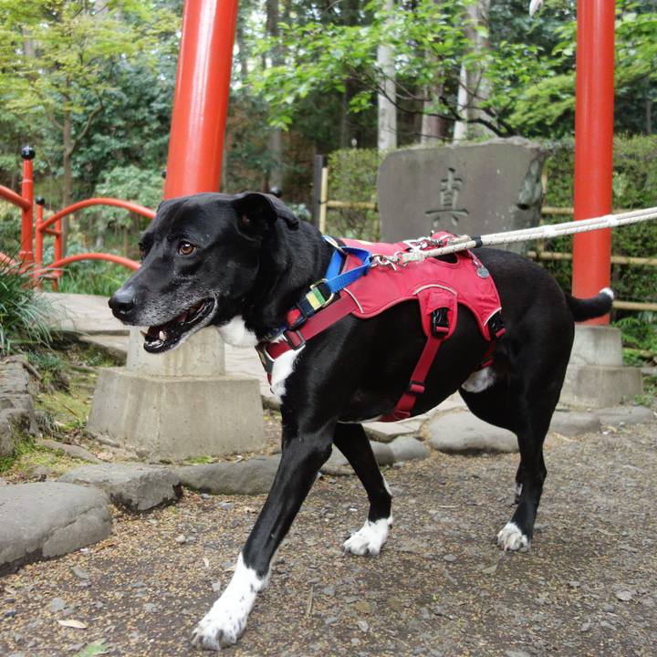 Ff4c1742 ce44 46f8 9621 197de85c4479 1680486140843