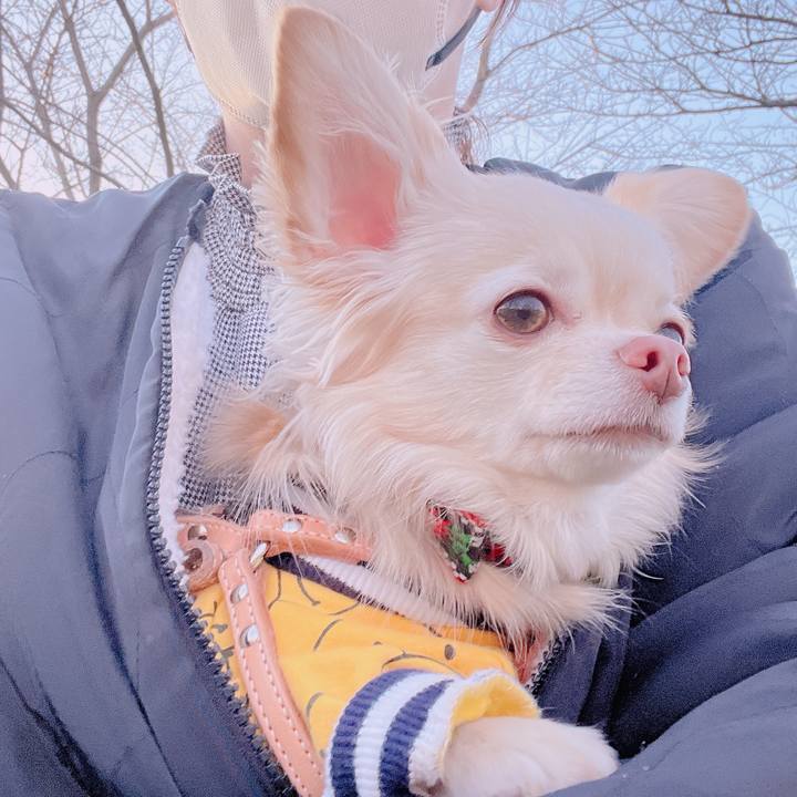 Ff4ca506 8ddb 487e 8d61 cf64f91782ac 1677411191522