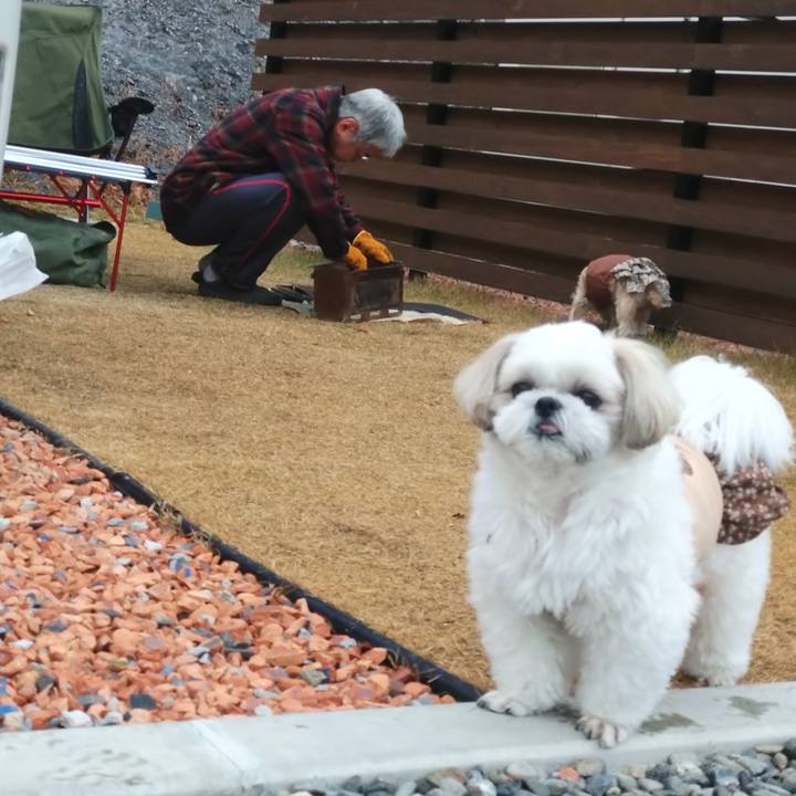 Ff4cbea1 40b5 49c6 b5f1 fff1fb807f9b 1736649296086