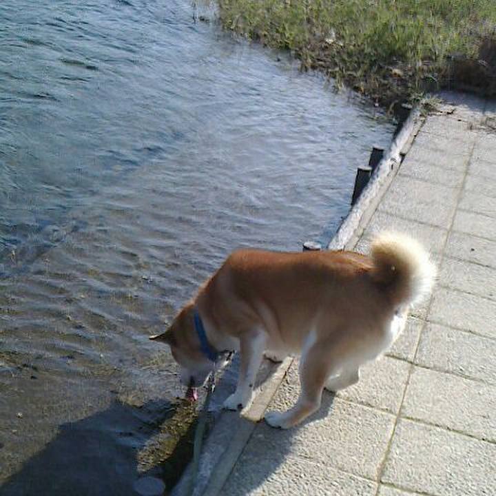 Ff4cd706 43bb 4a74 bc39 78534fd94cd5 1540553483178