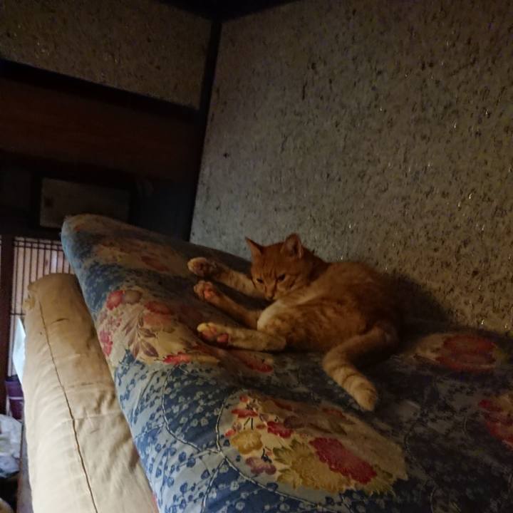 Ff4cda7b 3d81 48a0 a4d0 ea9233487610 1598826598451