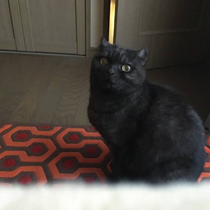 Ff4d15a0 a023 4231 8c2a b7c406f2e107 1548024060849