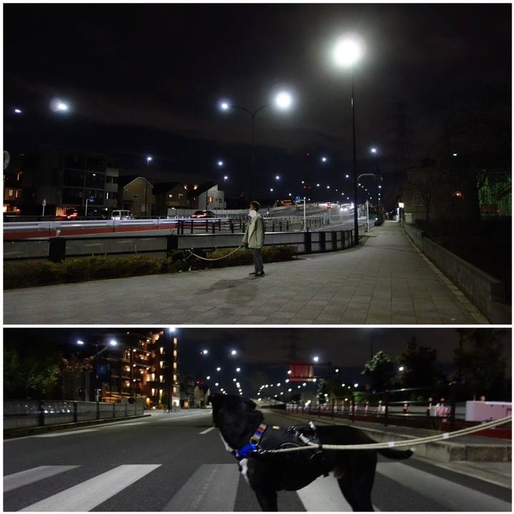 Ff4d2f16 b9a3 471d 802f 9244bf8bc396 1638270253382