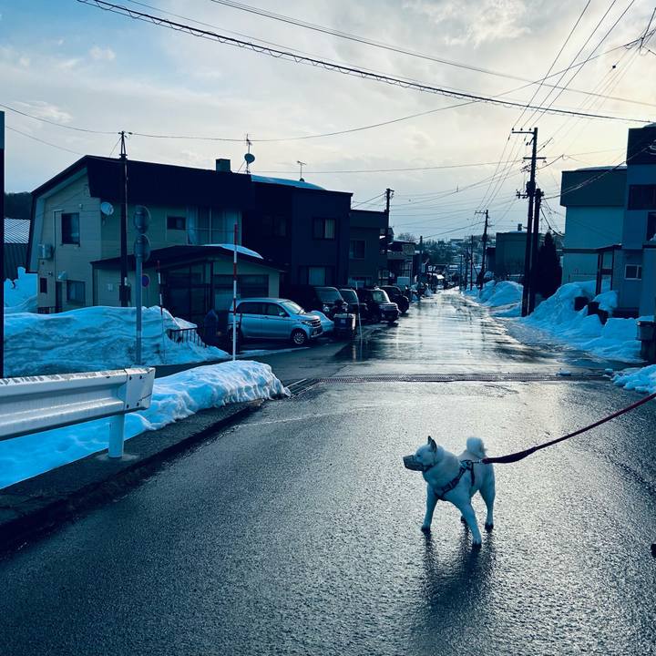 Ff4d9715 f2eb 4656 a7ac c77230656253 1741816822532