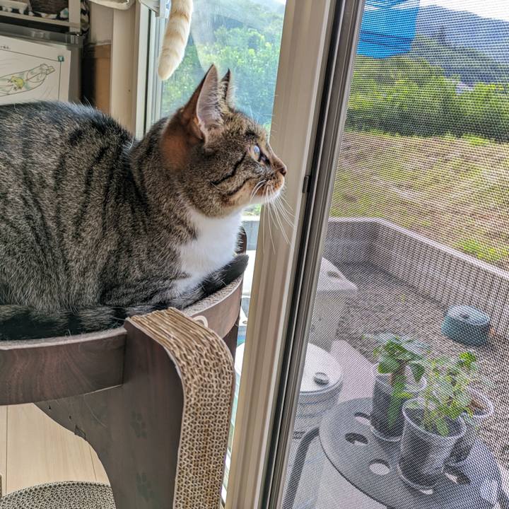 Ff4d9bf0 2d5a 468a 9901 bb2a6daa992e 1686091318143