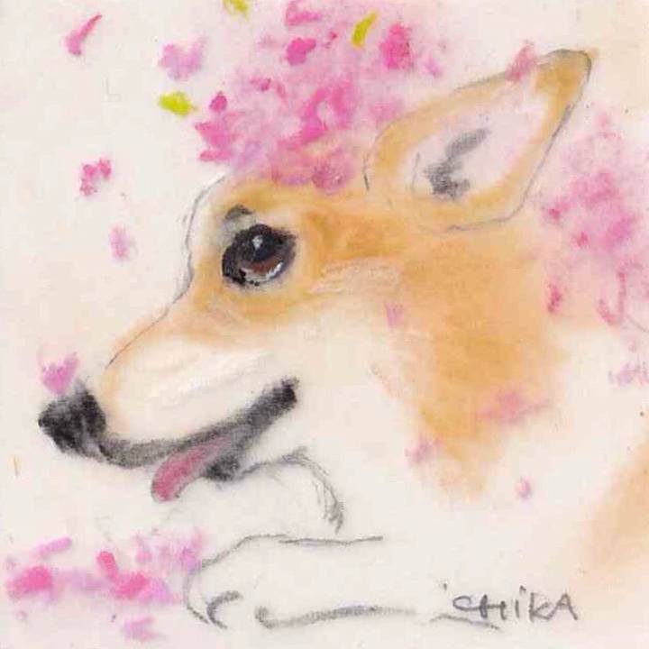 Ff4e0191 4a75 400d ad55 677ea55ed120 1650933365436