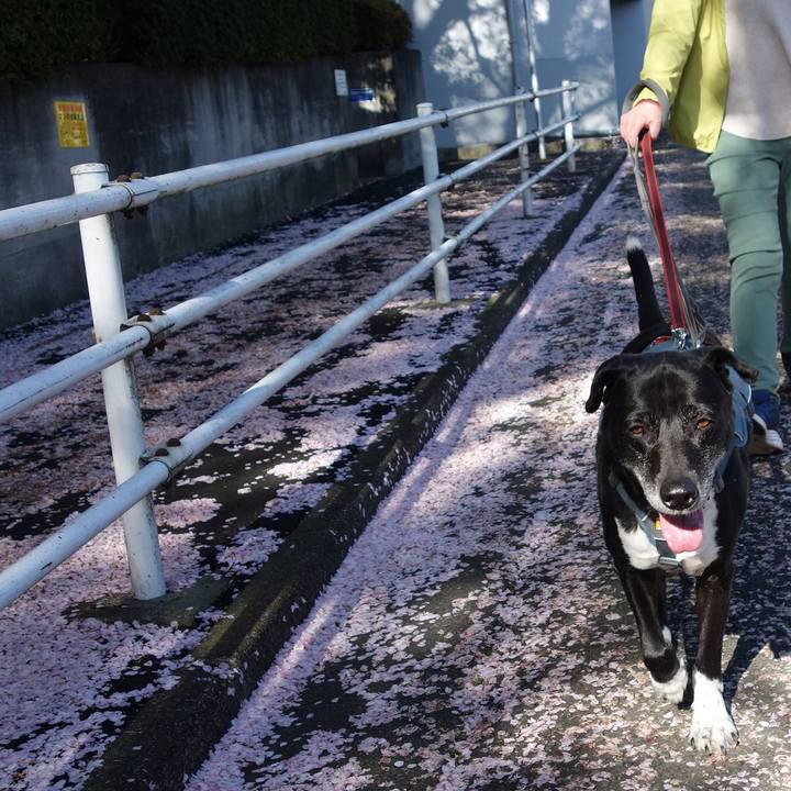 Ff4e0c78 6dce 484b 87a1 1b7c43a28317 1712709724095