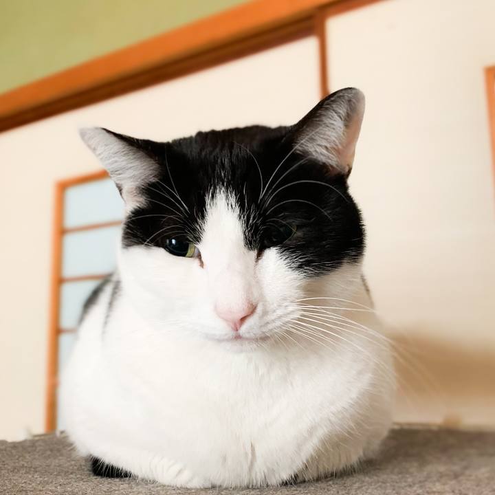 Ff4e263b 9717 418e 9b23 472f6ebfa72f 1580780670363