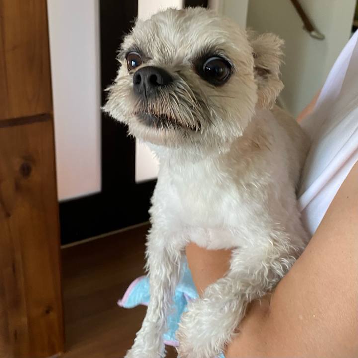 Ff4e76cd 1587 46ed 8abb e51a7e53832f 1656202914401