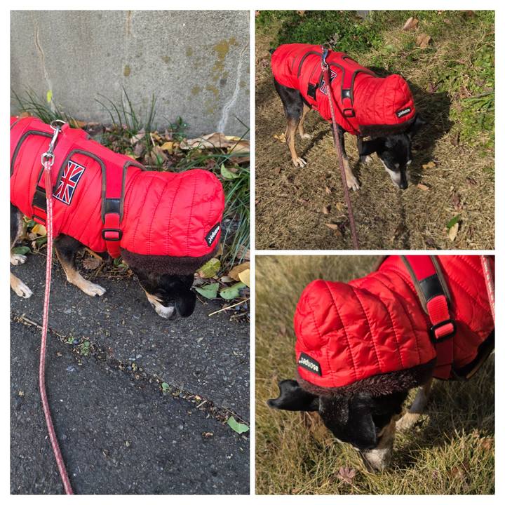 Ff4e9c53 745b 4691 9548 0eafe71cdeaa 1765859308277