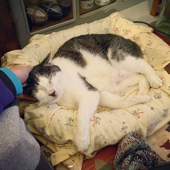 Ff4ed64b 2679 42b1 a2ce 23c3866aa49e 1607780254159