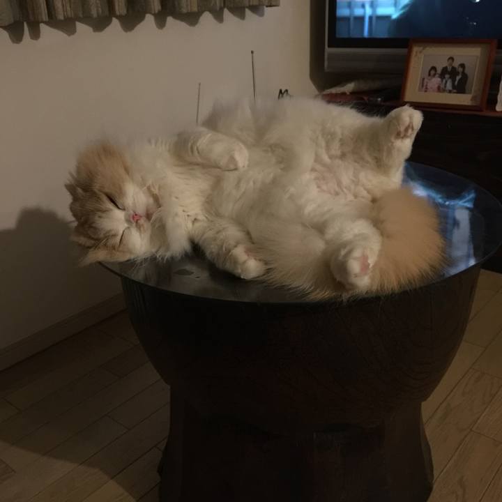 Ff4ed97e e4bc 467e 9bd2 813fe228159e 1515157814241