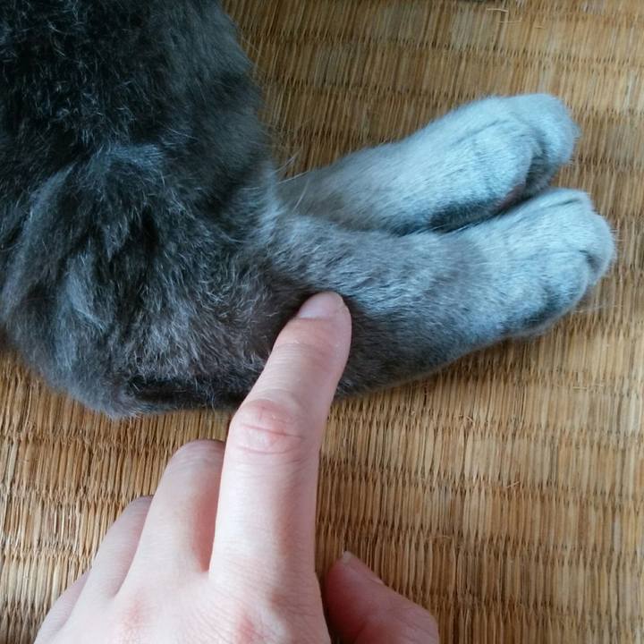 Ff4f3042 45c9 4dfa a11e afa4d4af1d8f 1596934989357