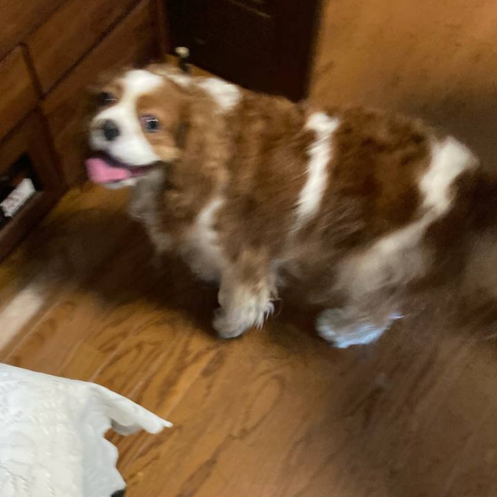 Ff4f3a19 3653 4b70 9819 208875ab6941 1724156056868