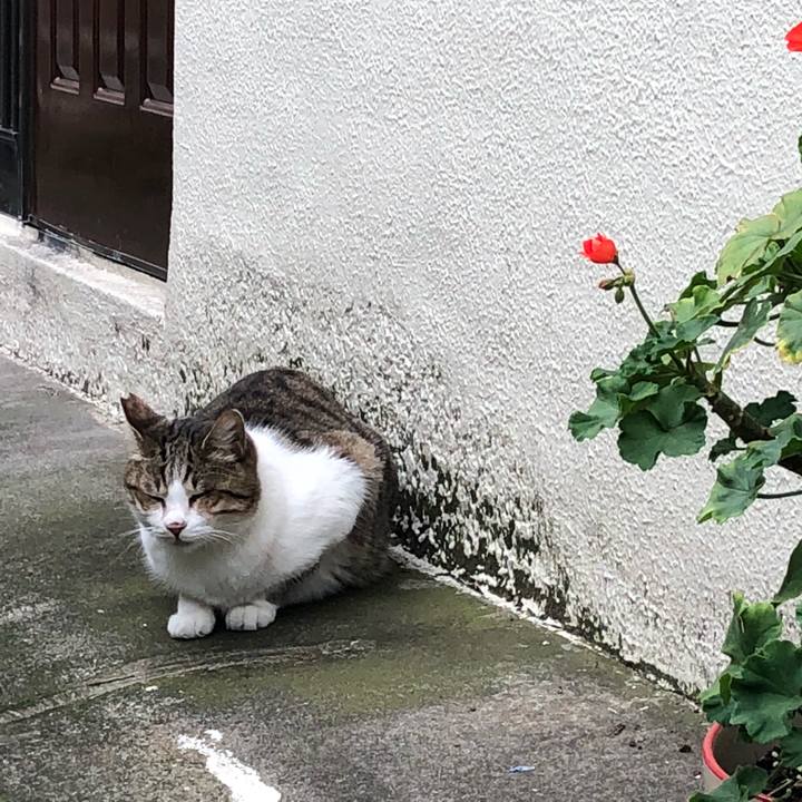 Ff4f40ea 748a 4bbc bec5 b1bfb37d81e3 1538762605650