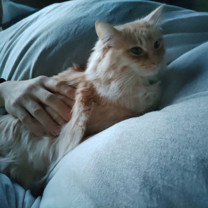 Ff4f6e3a 03a3 42c1 bce7 4b434d9feed1 1673317547503