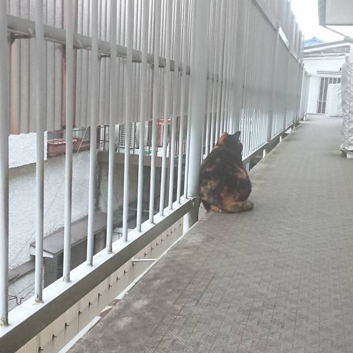 Ff4f999b 013d 457f b3e1 5020feb9e911 1674122737407