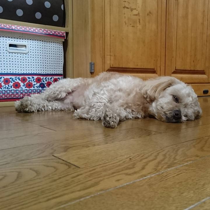 Ff4fb2f1 26dd 421d a51b bde174832224 1558853260977