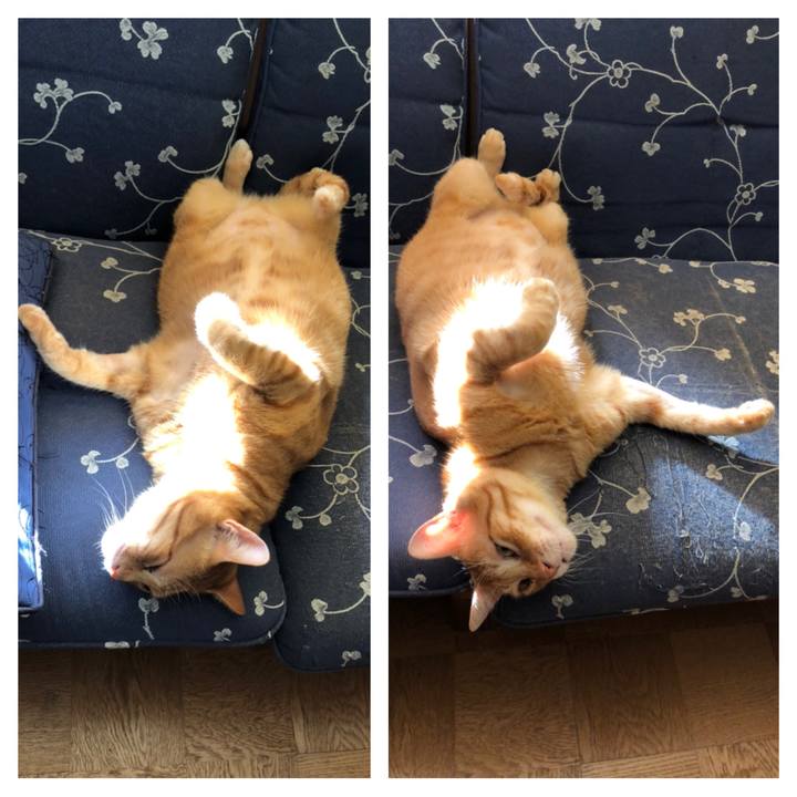 Ff4fe0fb 6ea8 4530 a632 8fed64f0a9fe 1567925322987