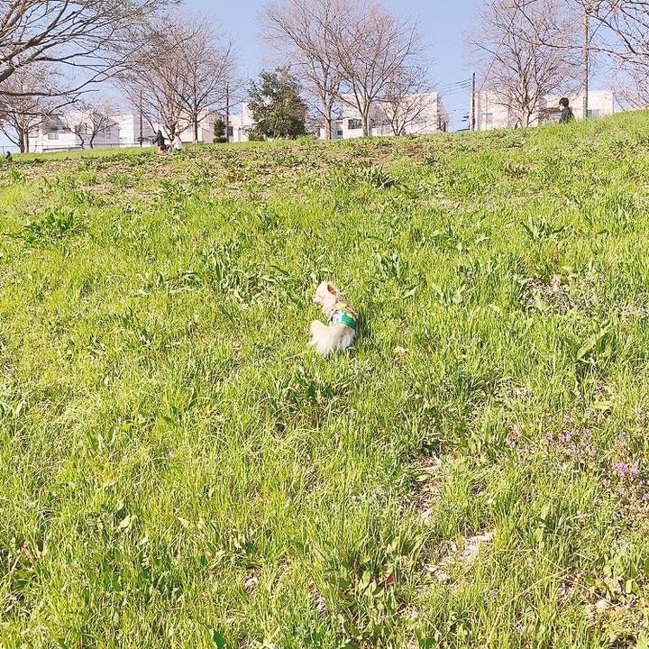 Ff4fe441 ec66 4269 9a2b b301617f61cf 1616489034871