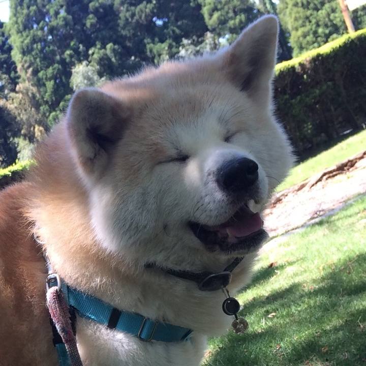 Ff4fec24 2d9d 4307 98de 3eac783d3fa3 1525400702165