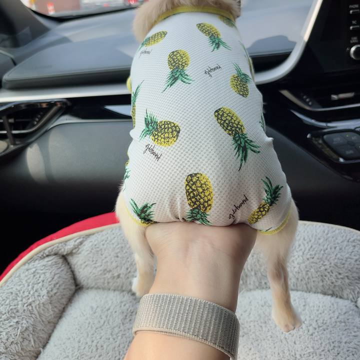 Ff503276 bdb7 4d39 ba42 d90e4110bbe0 1725708700317