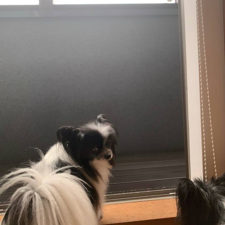 Ff50aa5d c021 4d88 ab2e 13c4fe8a3b46 1593985997629