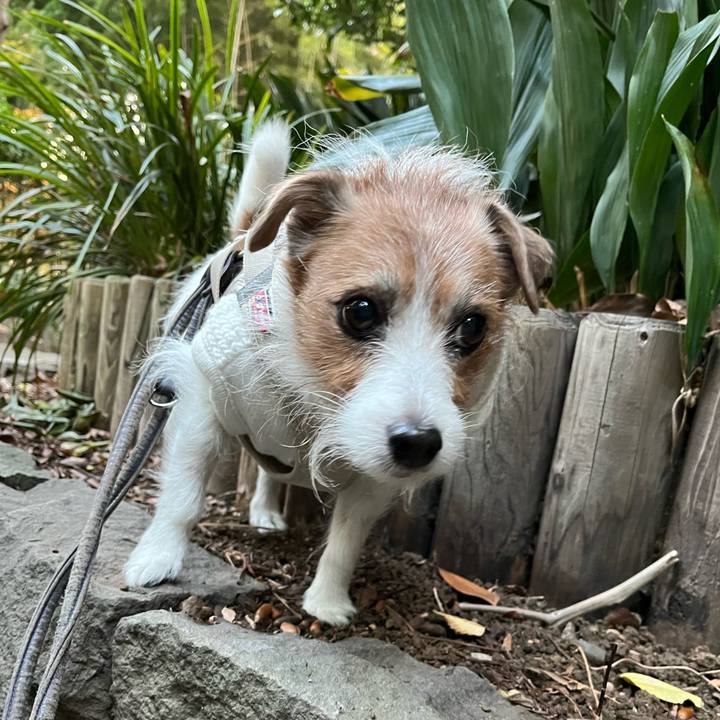 Ff50d0e6 c939 4d5a 9145 5f2a6f156c2f 1701470595443