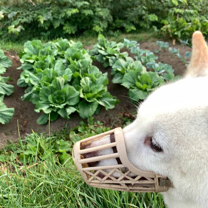 Ff50da8f 6a29 40a7 90b1 12c5b9bba677 1631221278116