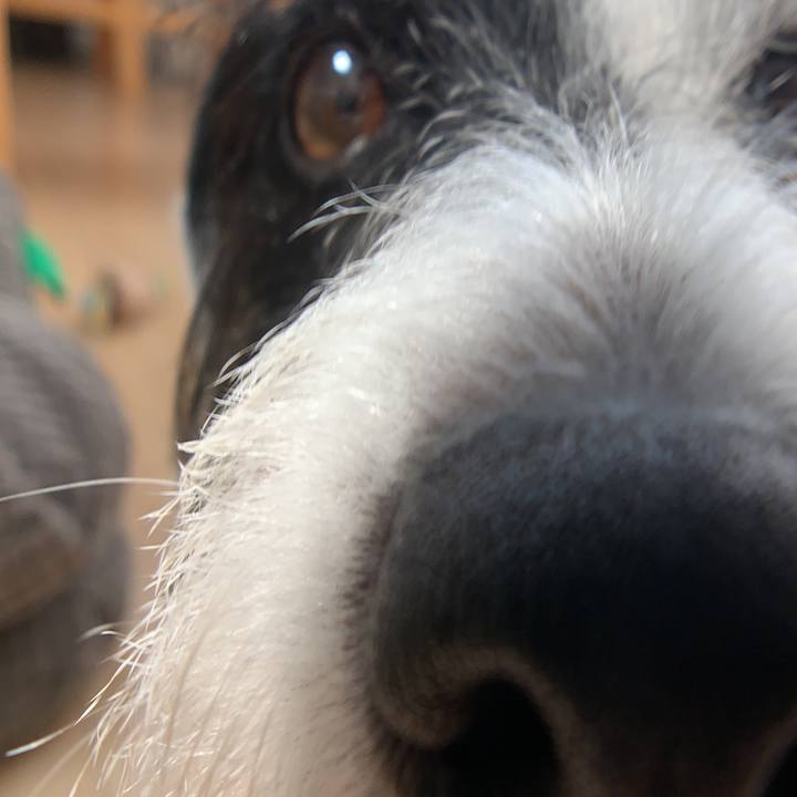 Ff50ee56 e091 4a47 ab6a 263b48486e17 1564362249117