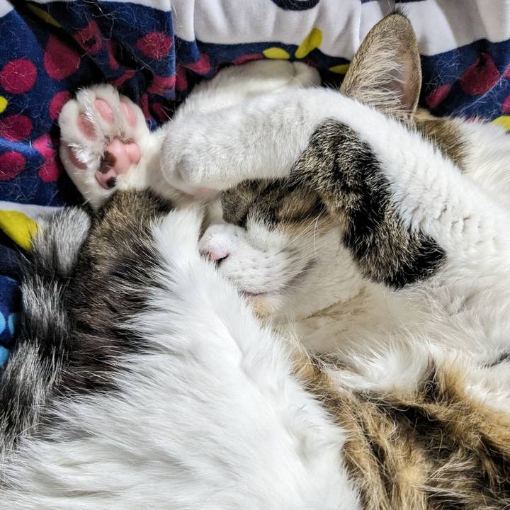 Ff510093 3919 4e90 8083 5ba30bcdfc14 1705743983716