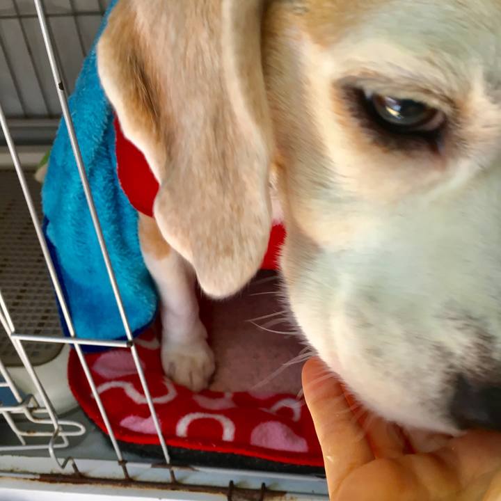 Ff5143cf 0a81 4b69 87f0 2fce118c0a55 1553407366334