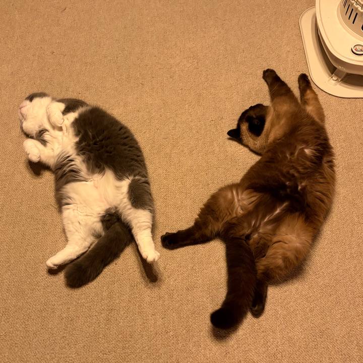 Ff5159d5 e9db 471f 98b2 0a68da5cafcb 1774141245765