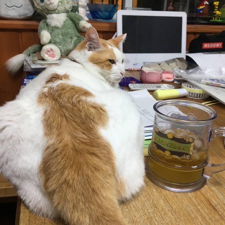 Ff5177ee 7540 40a5 8849 a8d19b081ac7 1535028253751