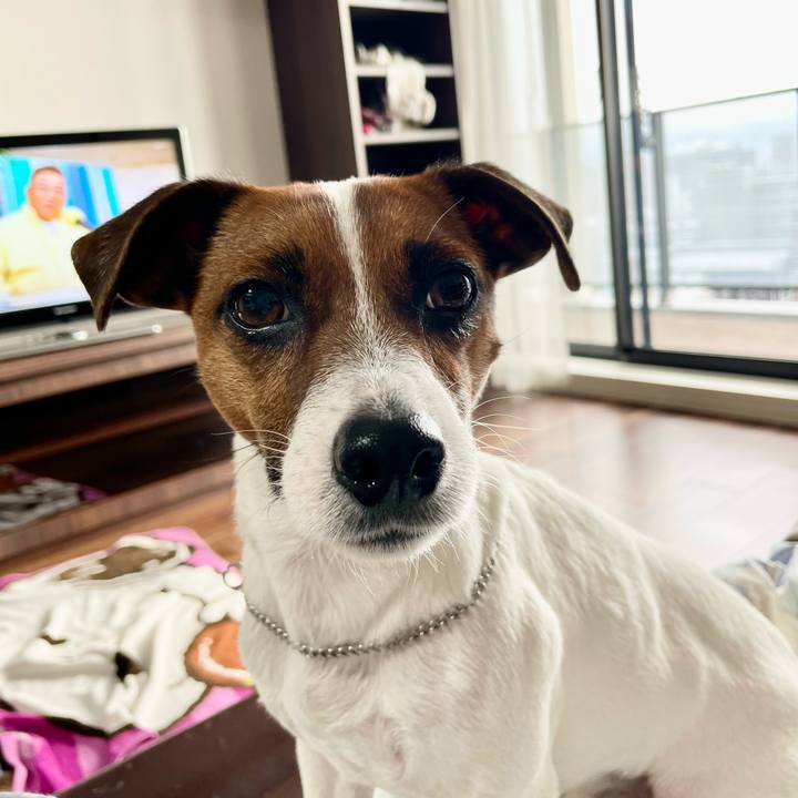 Ff51d11e 2ae7 400b a4cf 23e3cb9c50cc 1645573445177