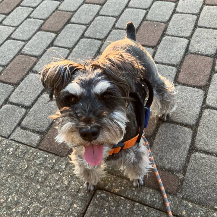 Ff52002c 467b 4637 a305 c535735d737c 1747466186730