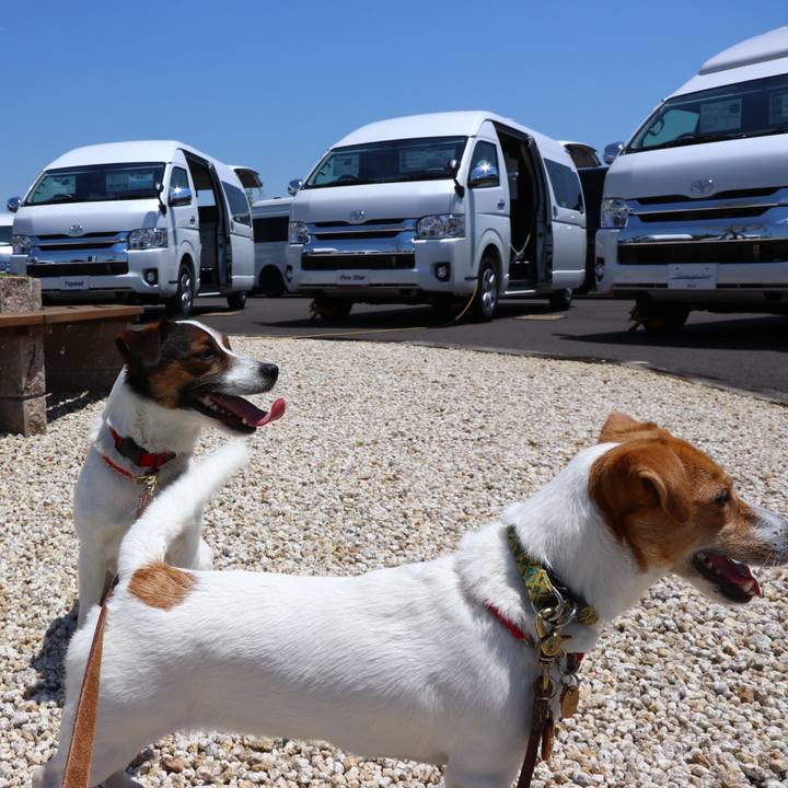 Ff523bcb 0509 4bb4 bc6a 673e5cc6b2f6 1557553623088