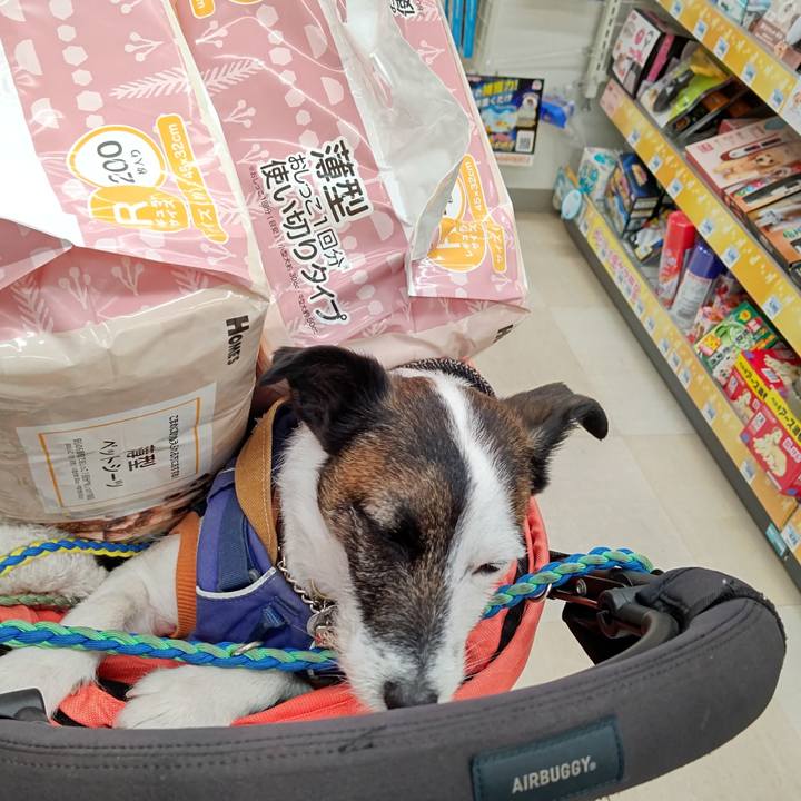 Ff523fb3 36f6 4c72 8ec3 4183610044da 1676209318967