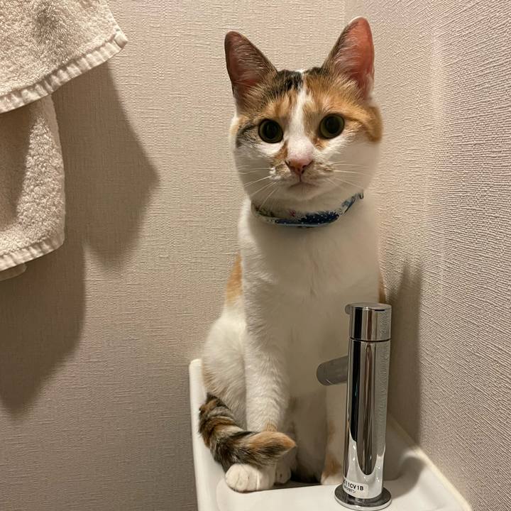 Ff524596 0979 40f9 8ebc eb93e4af18bb 1689031864494