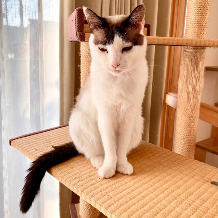 Ff5260d1 dccb 4f9f 8ef8 cd12de7d4258 1645946773087