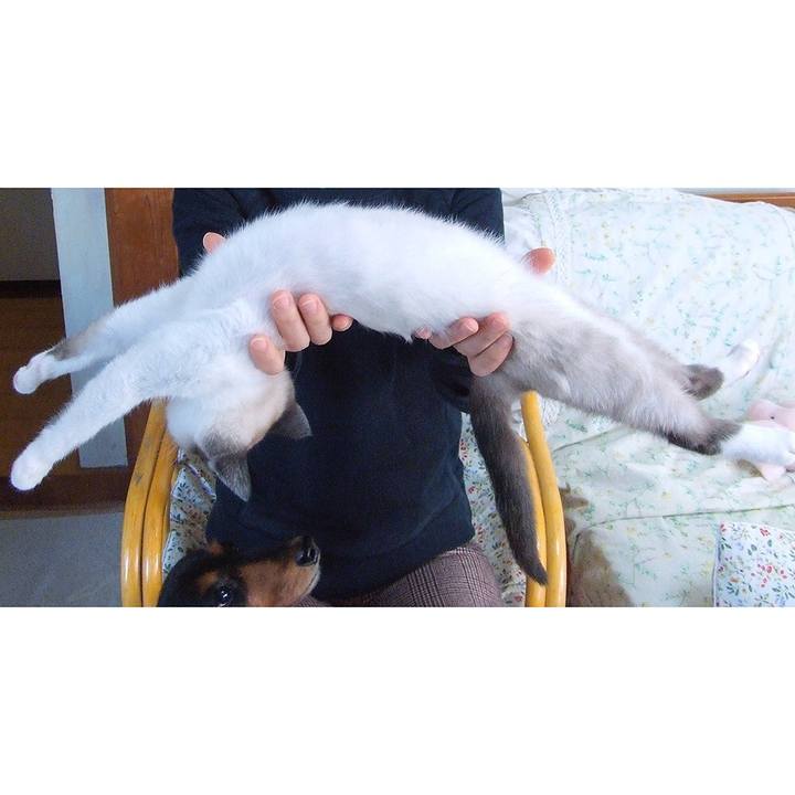 Ff526e6c 1779 40ab 84fd 4e46699829d0 1510566263123