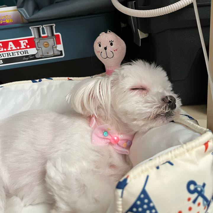 Ff527b22 46df 4437 b87b 6816fb5d3b1c 1696133988693