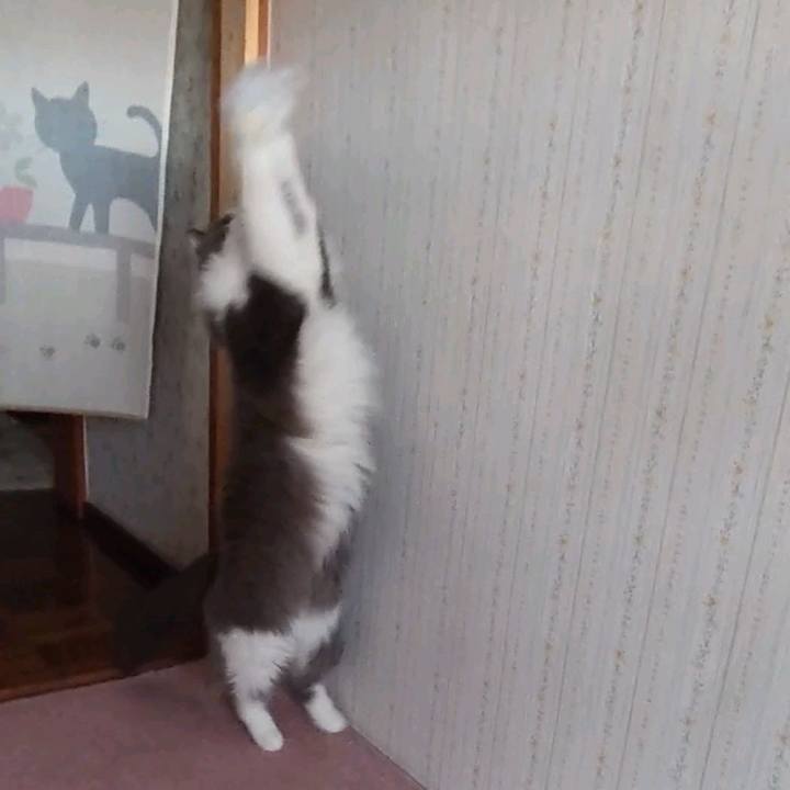 Ff52cb78 e54c 41ee 9b46 2b518b7bd2a7 1626517195552