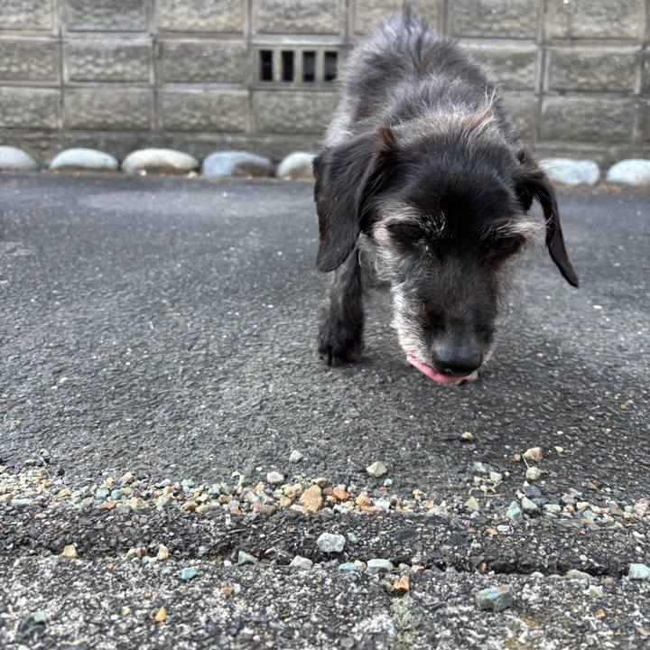 Ff52ccc4 67e1 4fd0 a993 e1a49e1fa48e 1752275587684