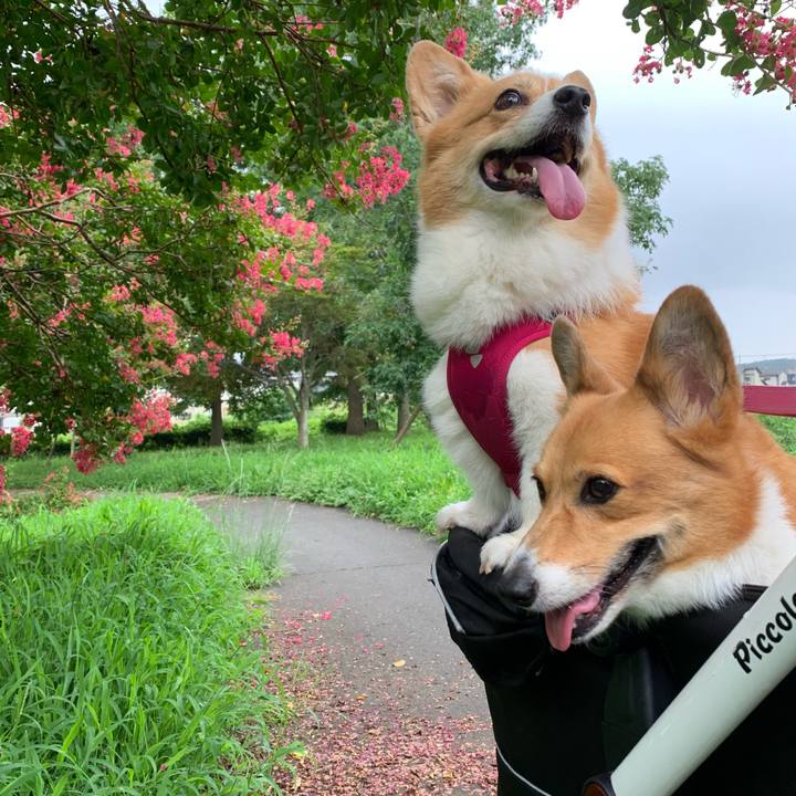 Ff52dbfb c4c0 4e7a 9f0f 58ce05f37709 1629595832164