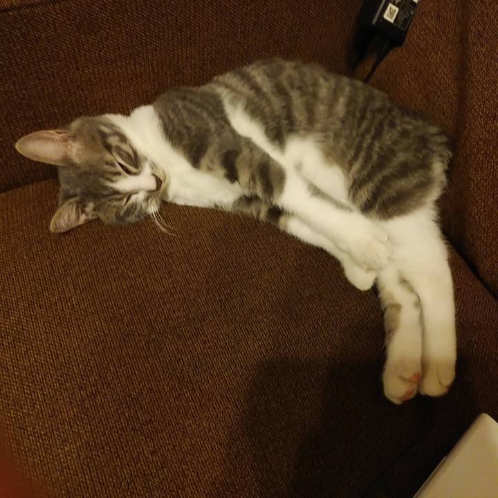 Ff52e382 053e 4e3f b164 bdc2897bba31 1566919913079